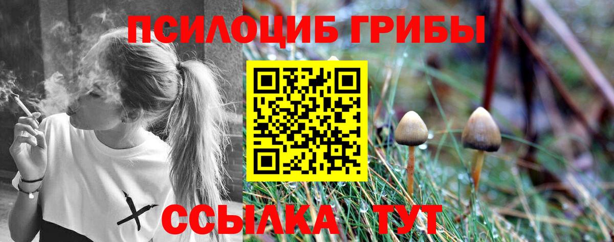 Псилоцибиновые грибы Magic Shrooms Гагарин